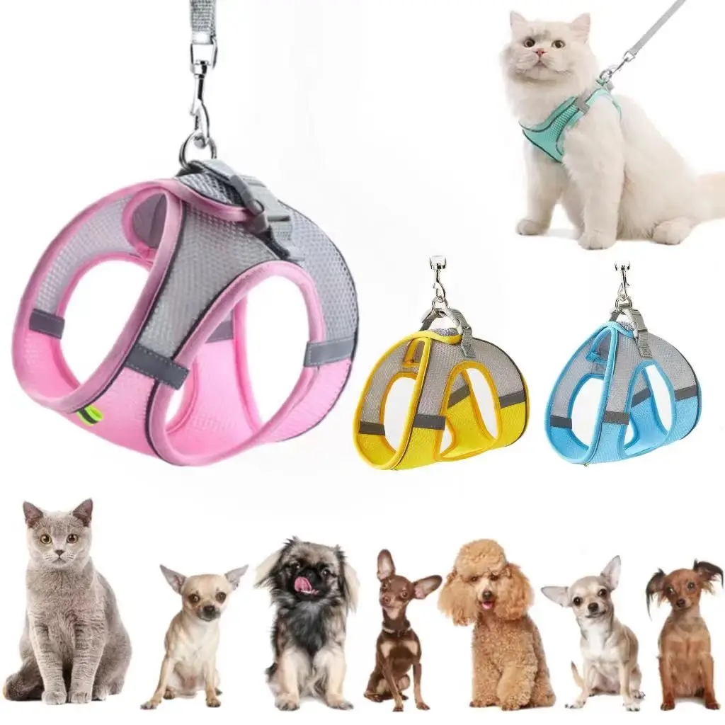 Pet Supplies In Bulk - Atmungsaktives, verstellbares Haustier-Geschirr- und Leinen-Set für
