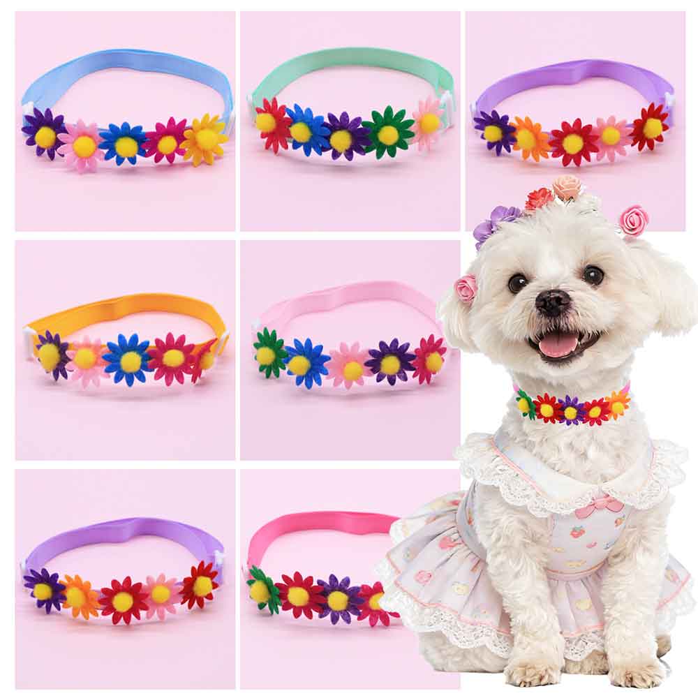 Pet Supplies In Bulk - 50 Stück bunte Hundeschleifen, Blumen-Accessoires für