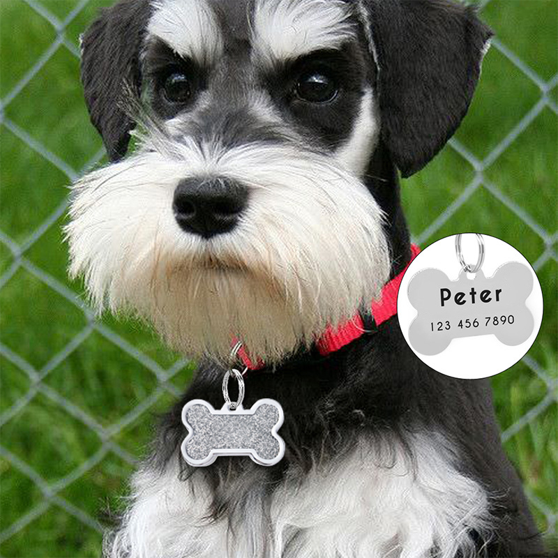 Pet Supplies Wholesale - Neue Knochen Hund Tags Können Laser