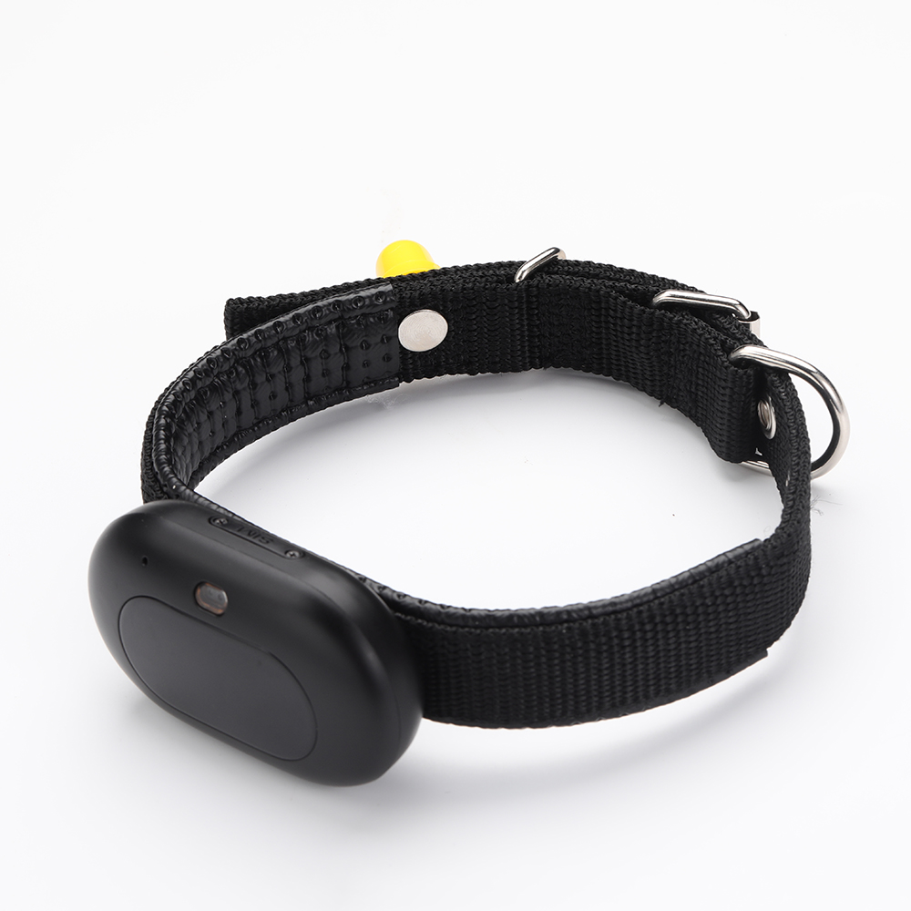 Pet Gps Tracker Collar - V41 4G LTE GPS-Tracker für Haustiere,