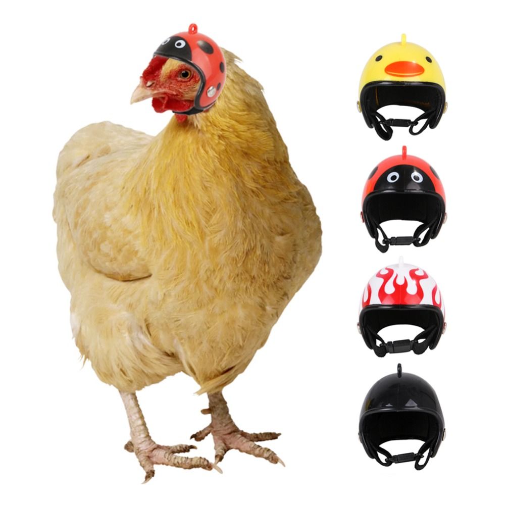 Pet X Supplies & Tack Photos - ABS Haustierzubehör Lustiger Schutzhelm für Haustiere