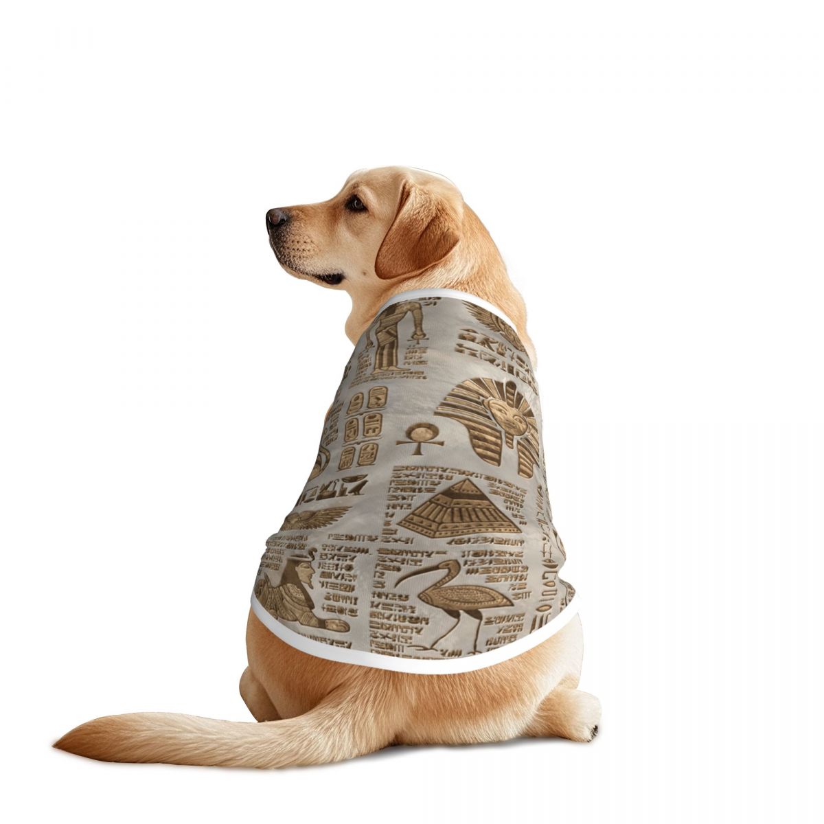 Pet Supplies Egypt - Ägyptische Hieroglyphen und Gottheiten Haustierwesten Jacke