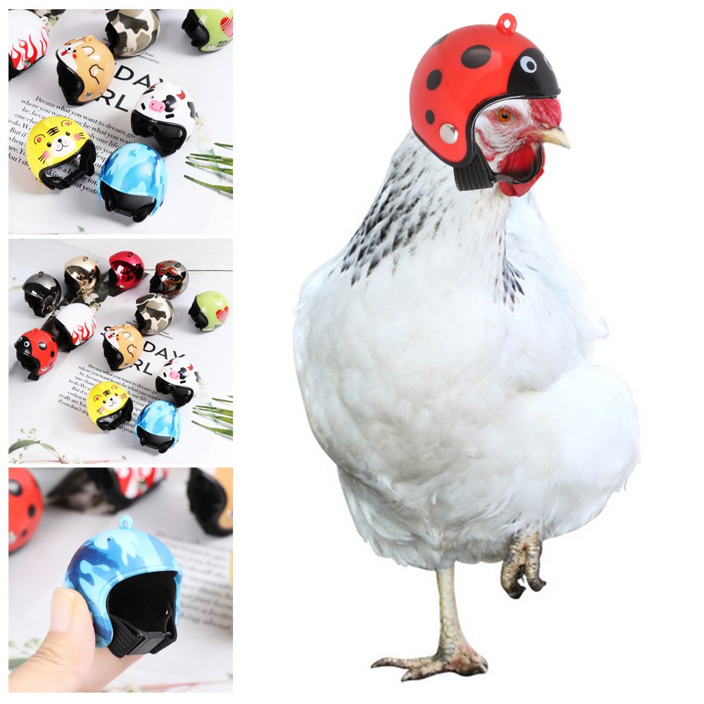 Pet X Supplies & Tack Photos - ABS Lustige Haustierzubehör Schutzhelm für Vögel