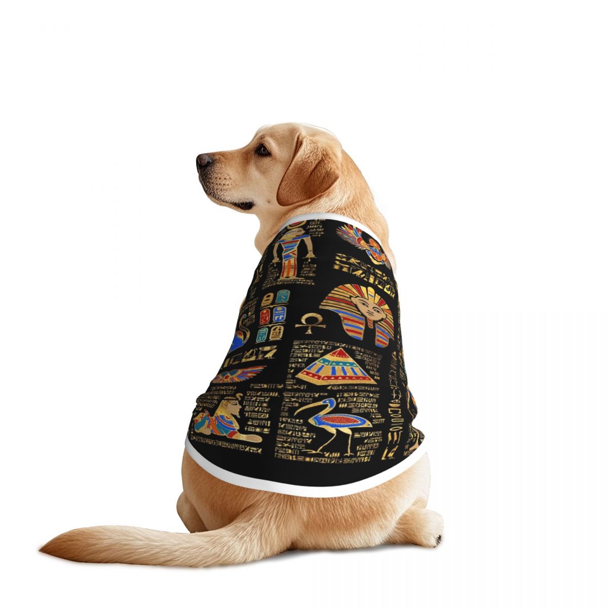 Pet Supplies Egypt - Ägyptische Hieroglyphen und Gottheiten Haustierwesten Ägypten