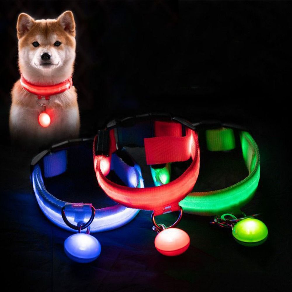 Usb-lade Leuchtende Hundehalsb – Pet Supplies Wholesale Bewertung und Preis