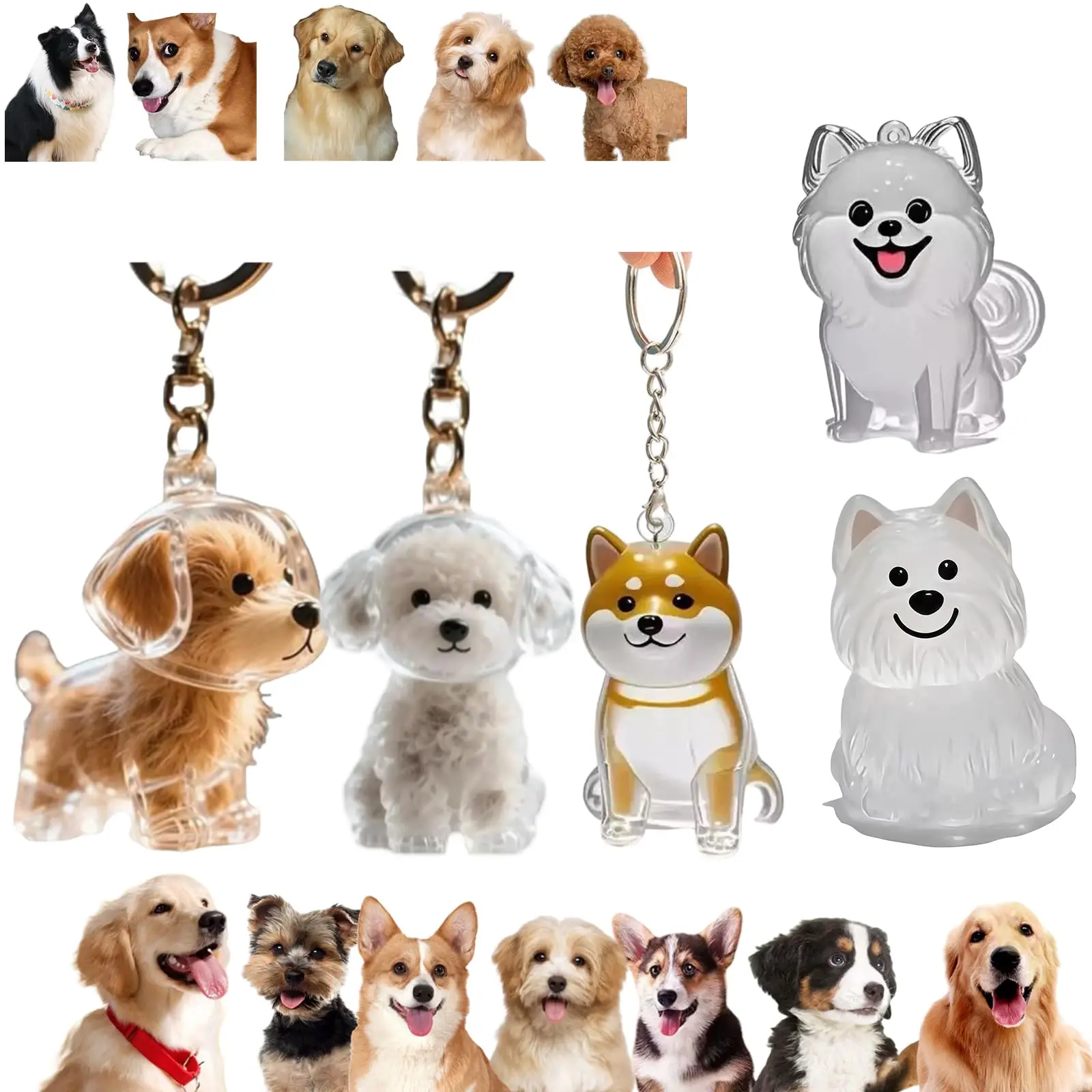 Transparenter Haustier-Gedenka – Pet Supplies Outlet Bewertung und Preis