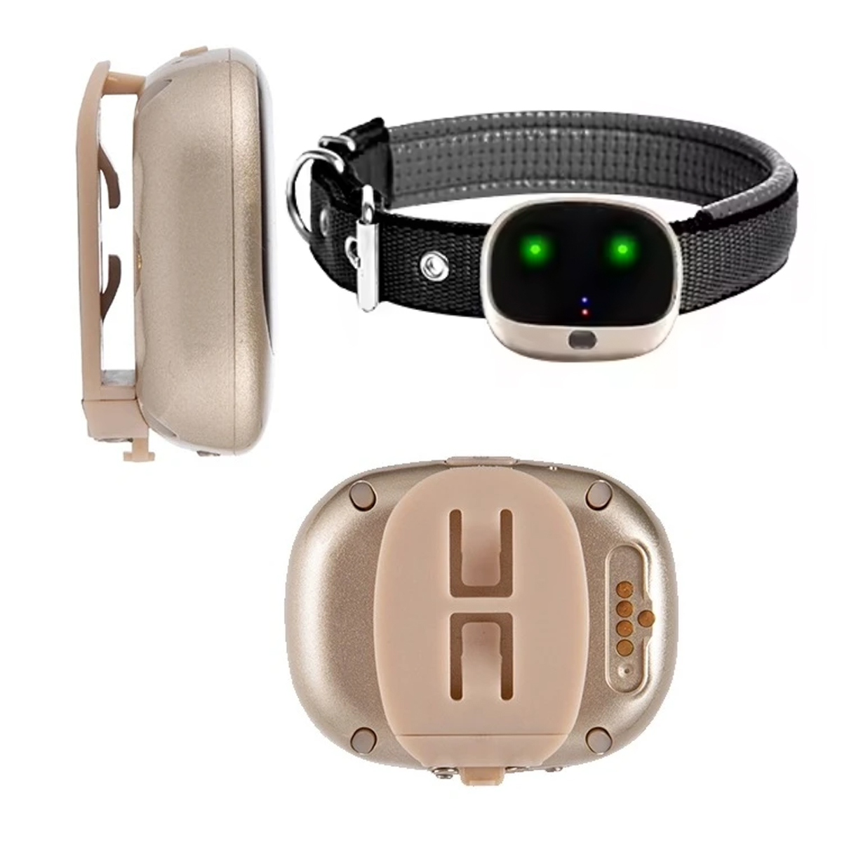 4G Wasserdichter GPS-Tracker f – Pet Gps Tracker Collar Bewertung und Preis