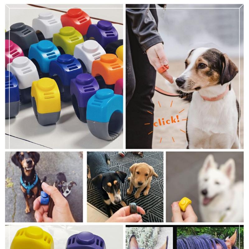 【F】Neuer Ring-Clicker für Haus – Training Clicker Dog Bewertung und Preis