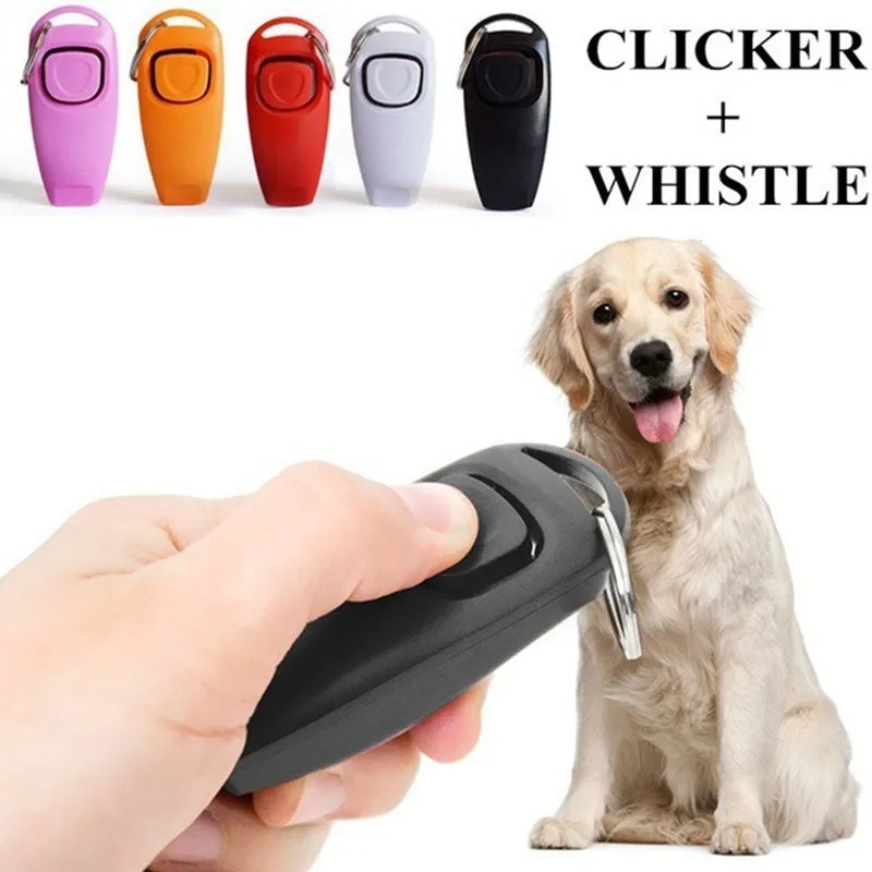 2-in-1 Haustier-Trainingsclick – Training Clicker Dog Bewertung und Preis