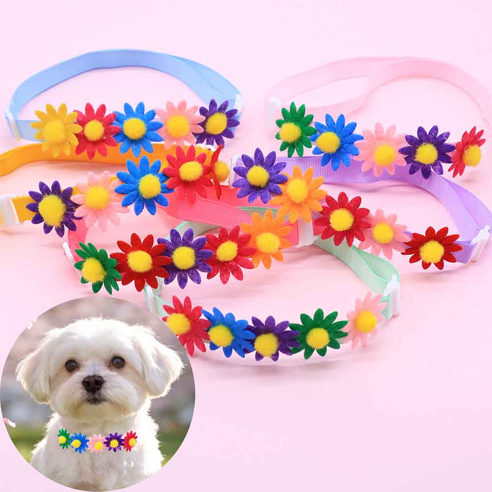 50 Stück bunte Hundeschleifen, – Pet Supplies In Bulk Bewertung und Preis
