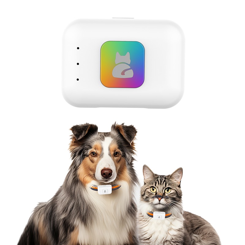 Haustier-GPS-AGPS-Tracking-Ger – Pet Gps Tracker Collar Bewertung und Preis