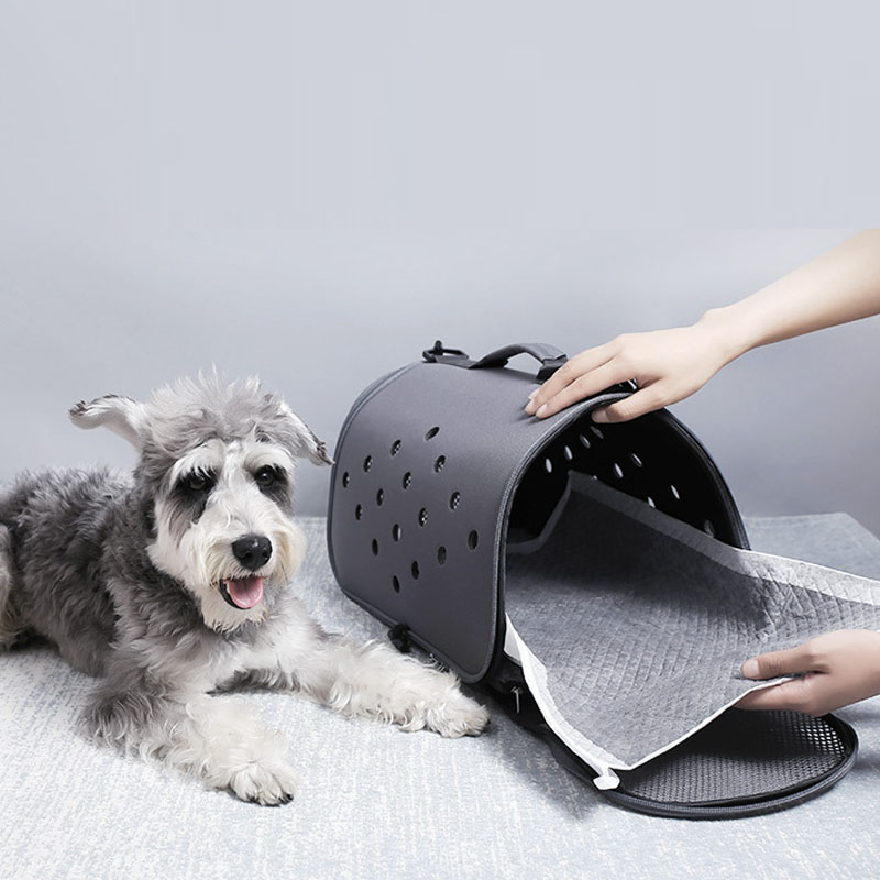 Großhandel Einweg-Trainings-Pi – Pet Supplies Wholesale Bewertung und Preis