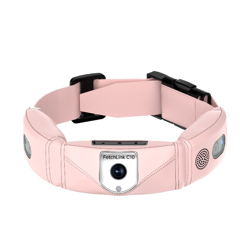 All-in-One Smart-Halsband mit  – Pet Gps Tracker Collar Bewertung und Preis