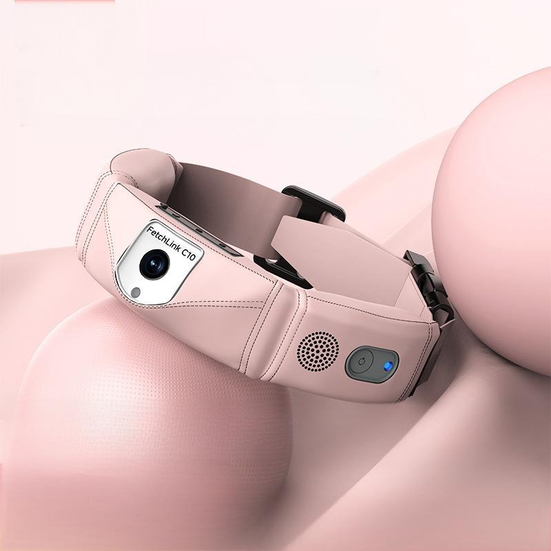 All-in-One Smart-Halsband mit  – Pet Gps Tracker Collar Bewertung und Preis