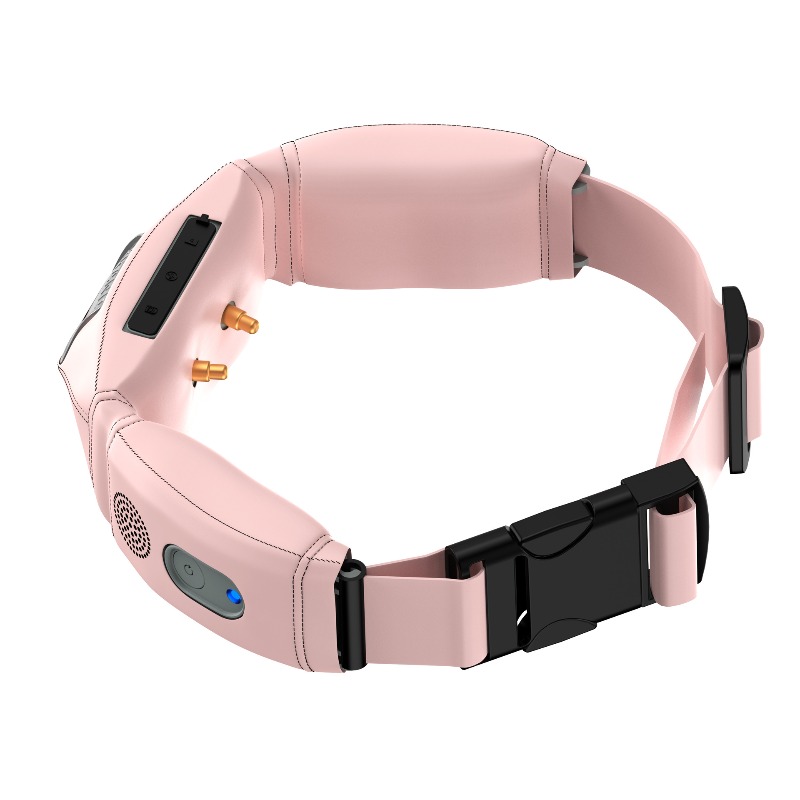 All-in-One Smart-Halsband mit  – Pet Gps Tracker Collar Bewertung und Preis