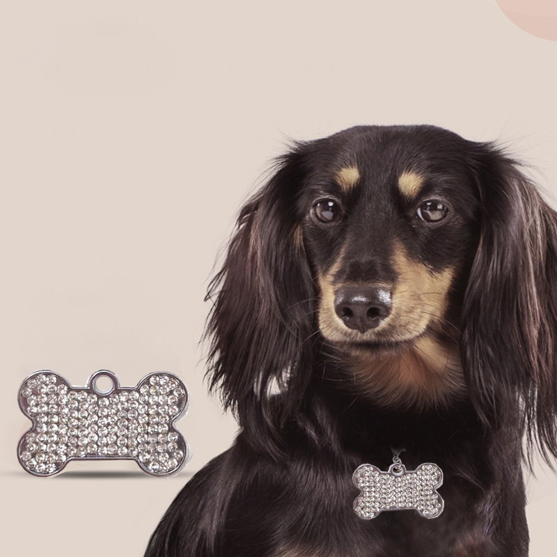 Neue Knochen Hund Tags Können  – Pet Supplies Wholesale Bewertung und Preis
