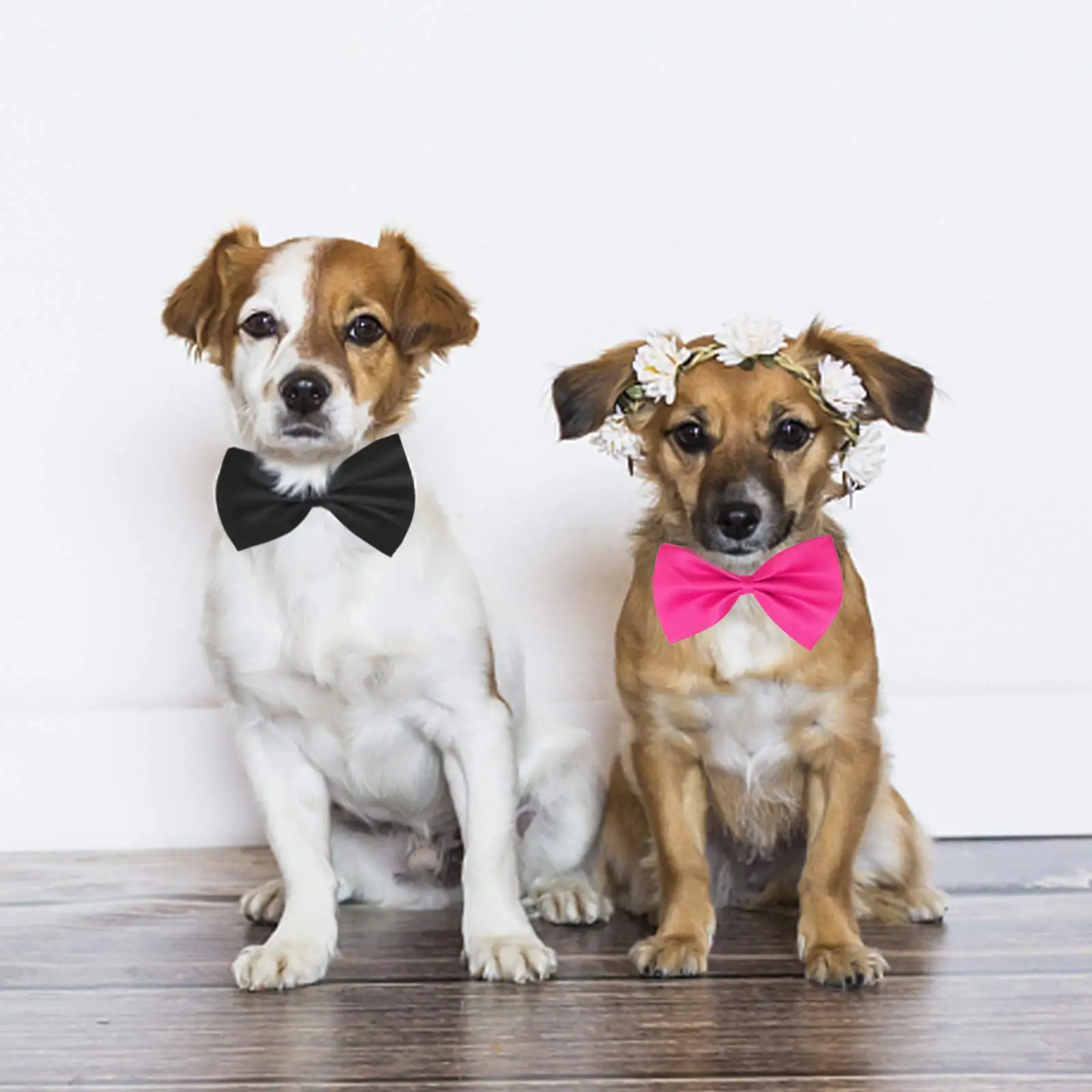 50/100 stücke Hund Bögen Mix F – Pet Supplies Wholesale Bewertung und Preis