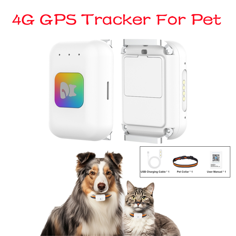 GPS-Haustier-Tracker mit bunte – Pet Gps Tracker Collar Bewertung und Preis
