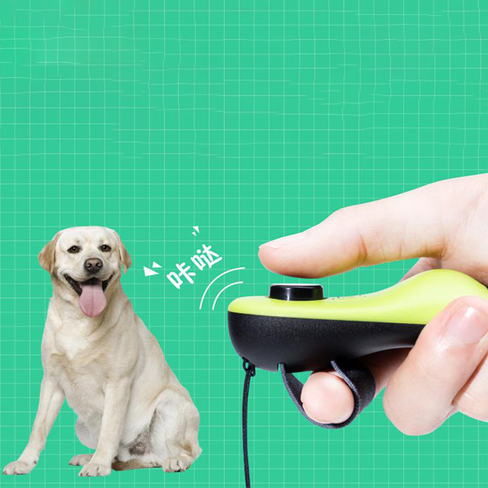2-in-1-Hunde-Trainings-Clicker – Training Clicker Dog Bewertung und Preis