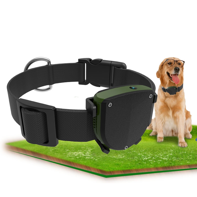 Haustier-GPS-Tracker mit Hunde – Pet Gps Tracker Collar Bewertung und Preis