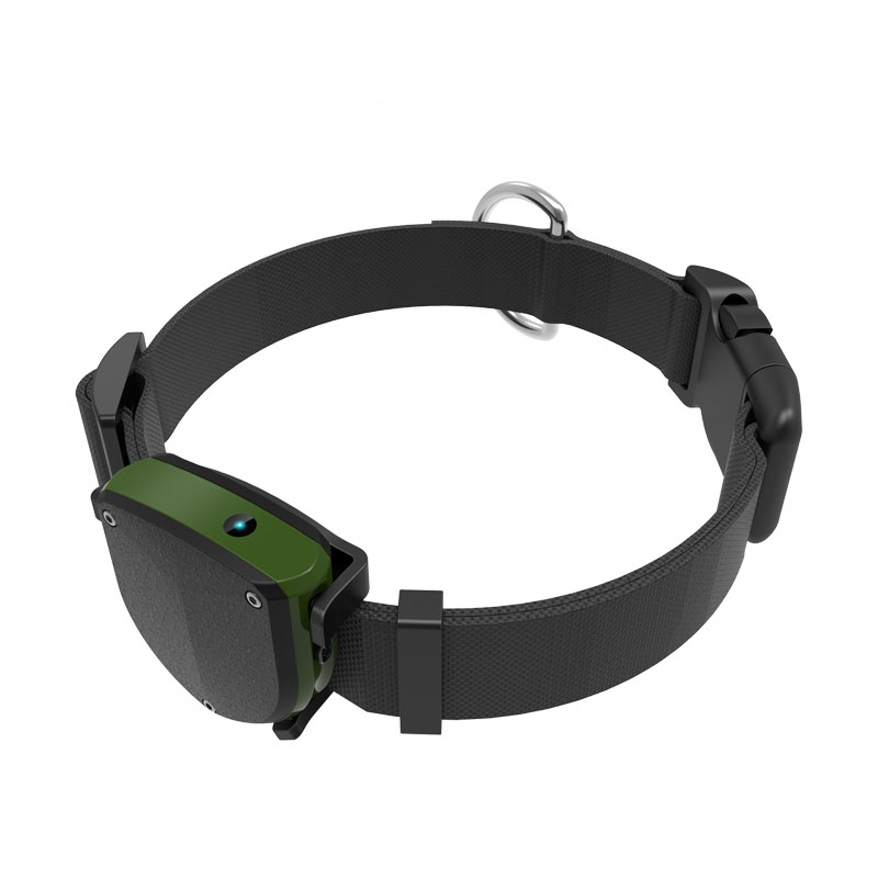Haustier-GPS-Tracker mit Hunde – Pet Gps Tracker Collar Bewertung und Preis