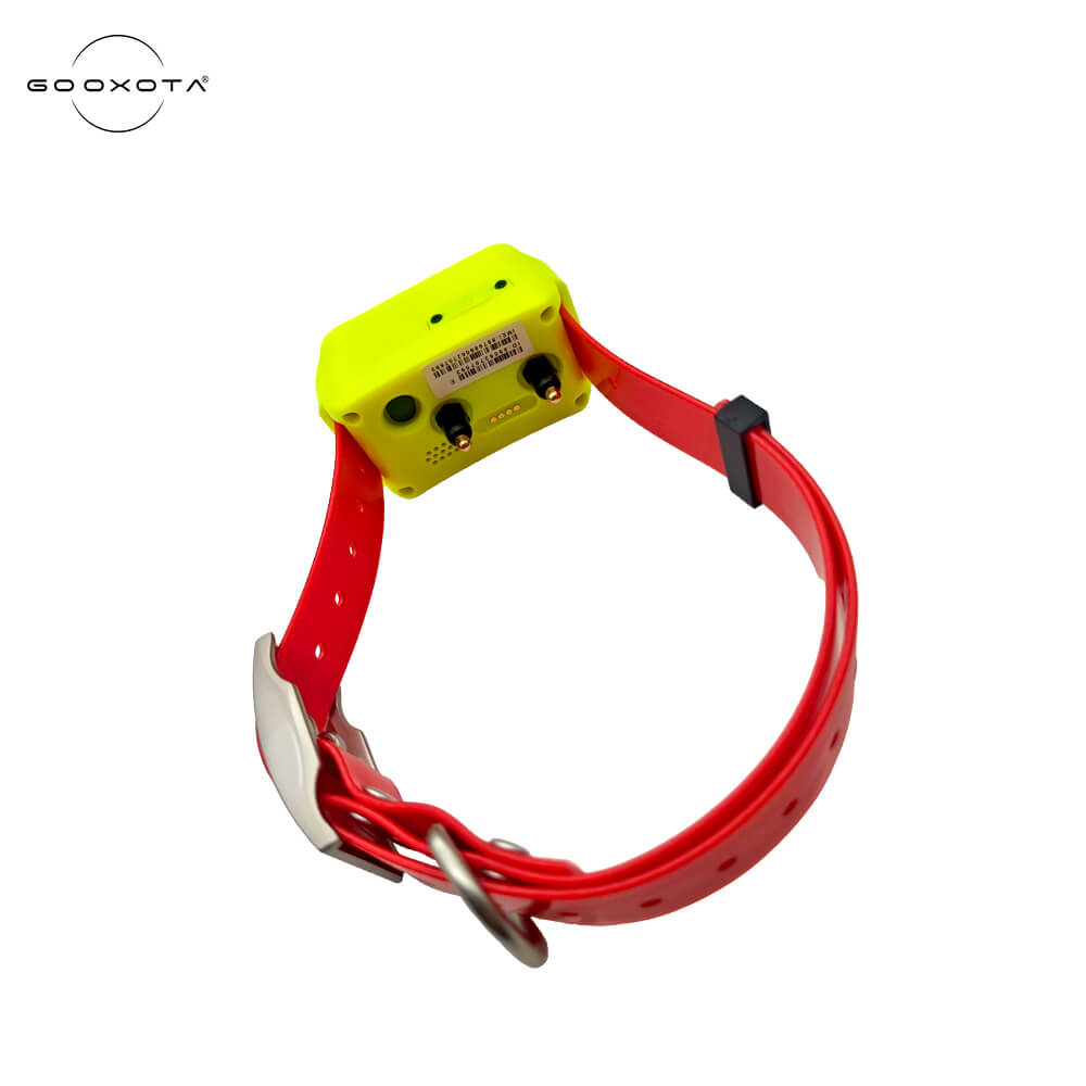 4G GPS-Tracker-Halsband für Ja – Pet Gps Tracker Collar Bewertung und Preis