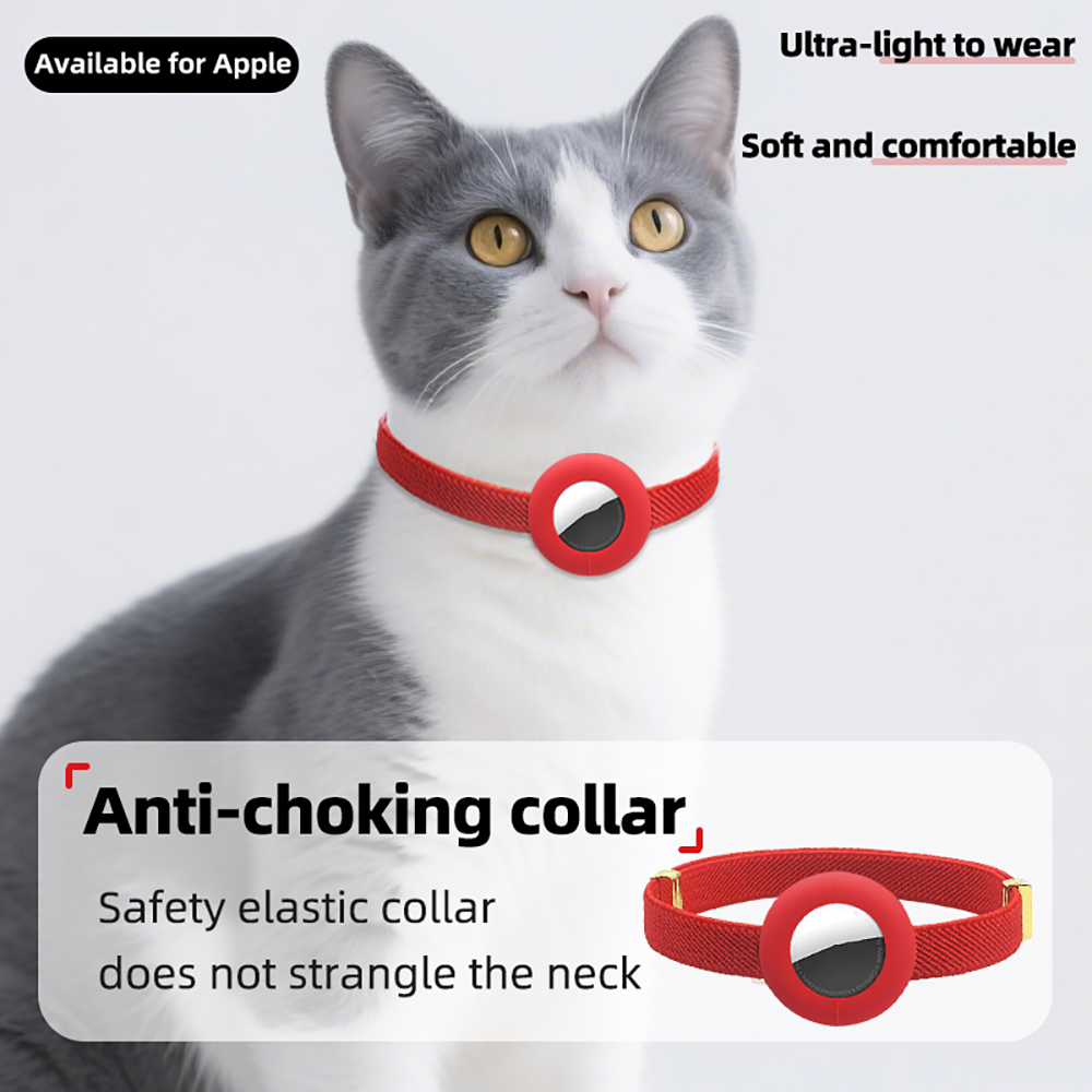 Niedliches abtrünniges Katzenh – Pet Gps Tracker Collar Bewertung und Preis