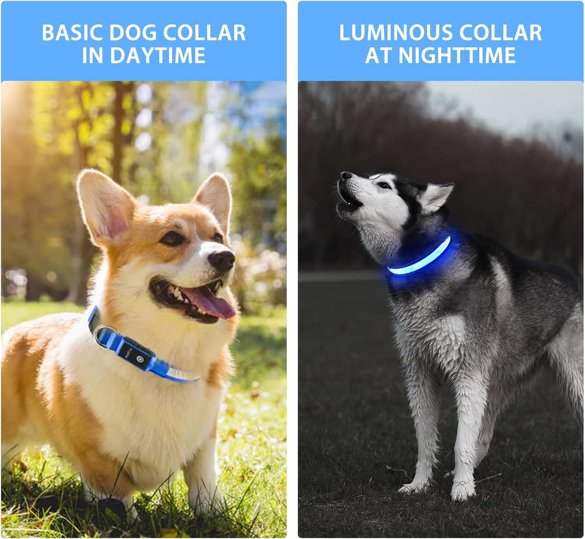 USB-LED-Hundehalsband-Leuchten – Pet Supplies In Bulk Bewertung und Preis