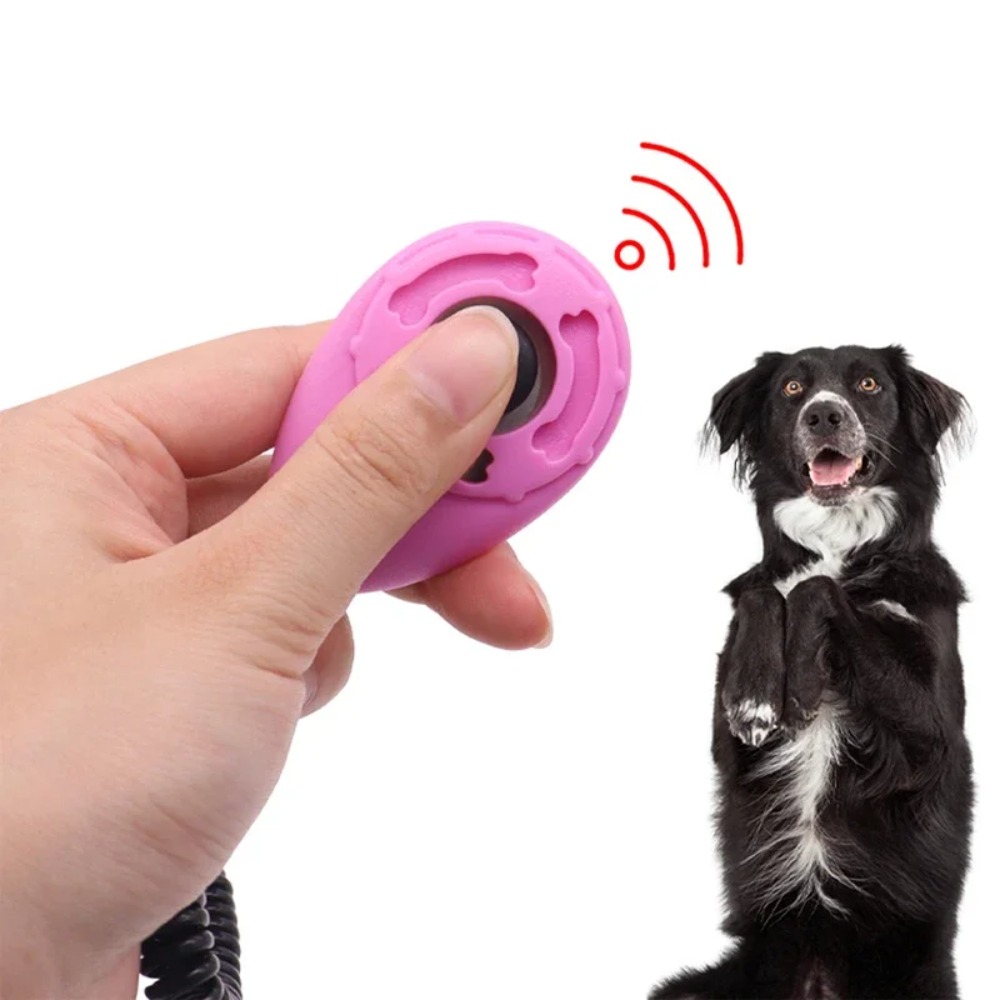 Hundetraining-Klicker für Haus – Training Clicker Dog Bewertung und Preis