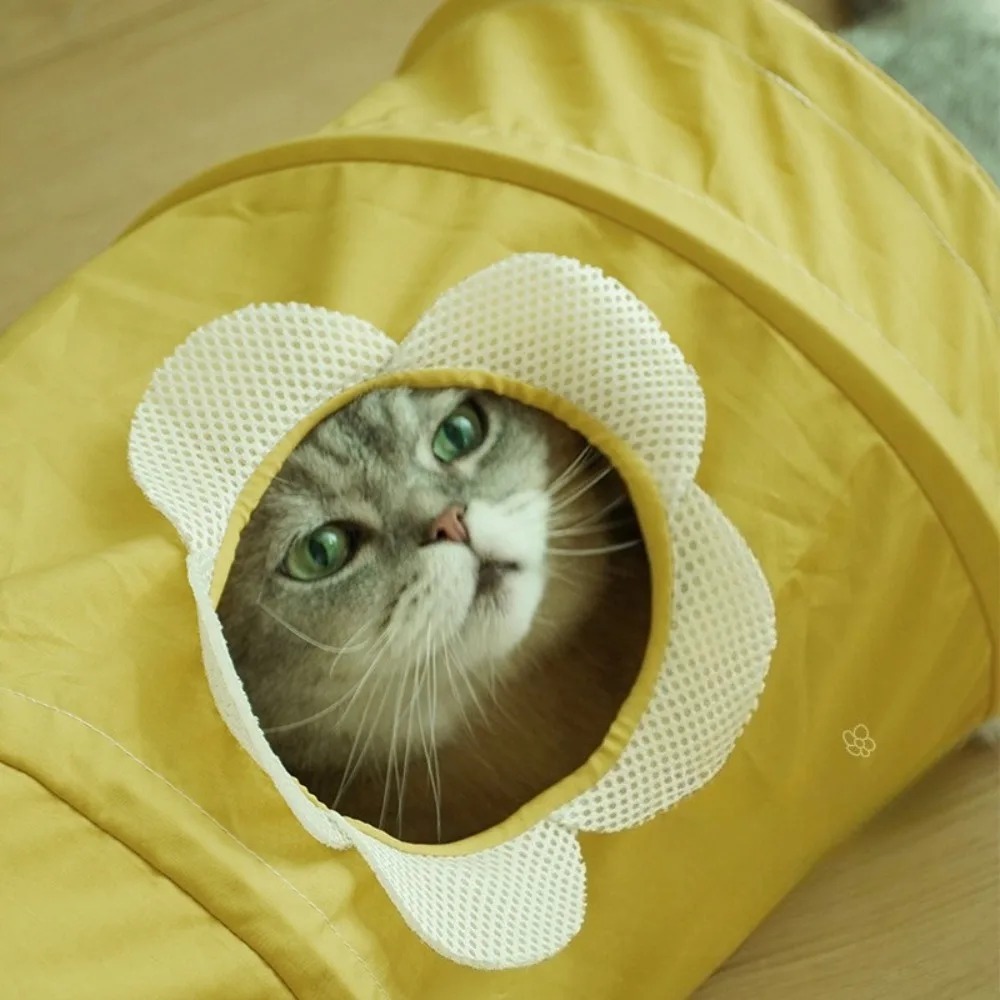 Tragbarer, faltbarer Spiral-Ka – Pet Supplies In Store Bewertung und Preis