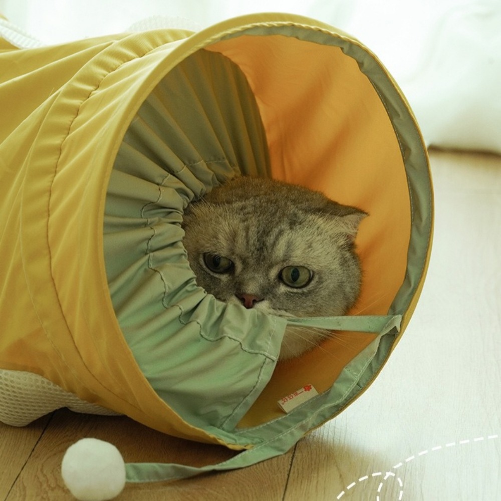 Tragbarer, faltbarer Spiral-Ka – Pet Supplies In Store Bewertung und Preis