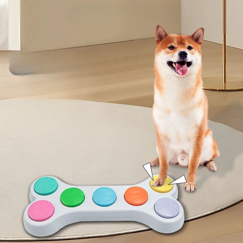 Audioaufzeichnungstaste Integr – Training Clicker Dog Bewertung und Preis
