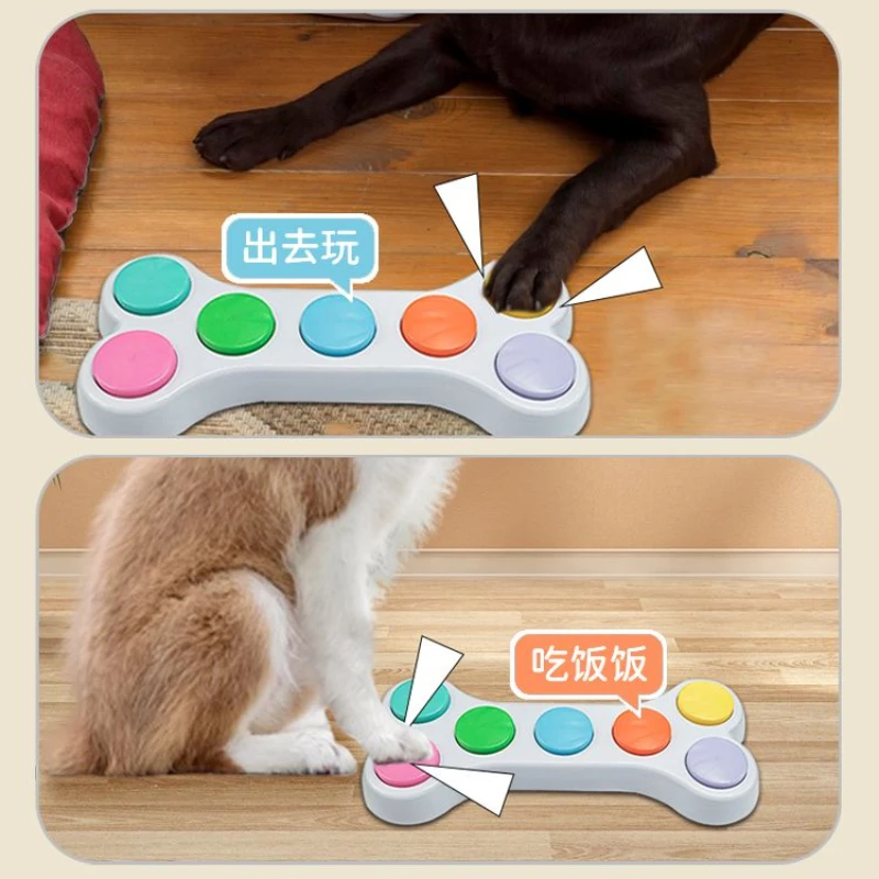 Audioaufzeichnungstaste Integr – Training Clicker Dog Bewertung und Preis