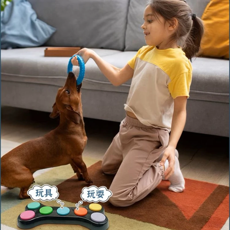 Audioaufzeichnungstaste Integr – Training Clicker Dog Bewertung und Preis