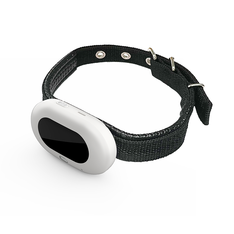 V41 4G LTE GPS-Tracker für Hau – Pet Gps Tracker Collar Bewertung und Preis