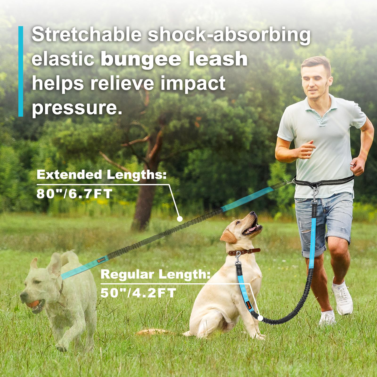 Doppelte elastische reflektier – Pet Supplies In Bulk Bewertung und Preis