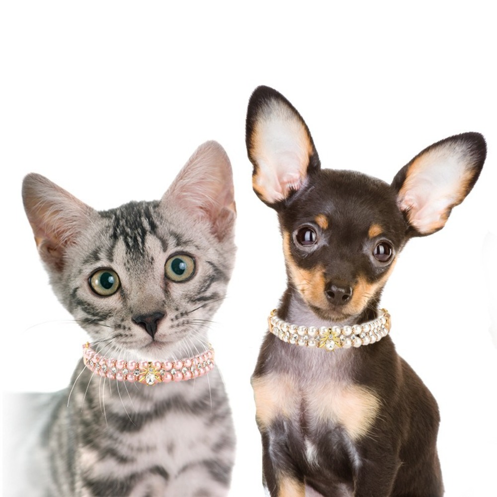 Verstellbare Hunde- und Katzen – Pet Supplies In Bulk Bewertung und Preis