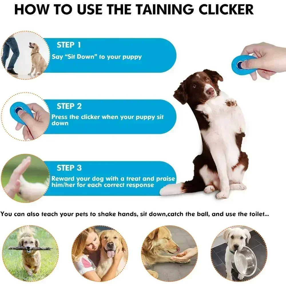 Hundetraining-Clicker, einfach – Training Clicker Dog Bewertung und Preis
