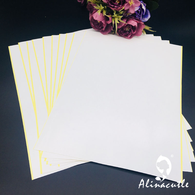 10PC X A4 Doppelseitiges Klebe – Pet X Supplies & Tack Photos Bewertung und Preis