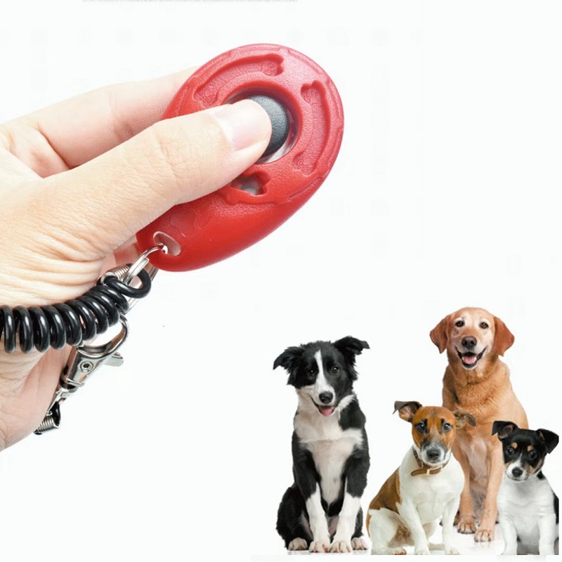 Verstellbares Handgelenkband H – Training Clicker Dog Bewertung und Preis