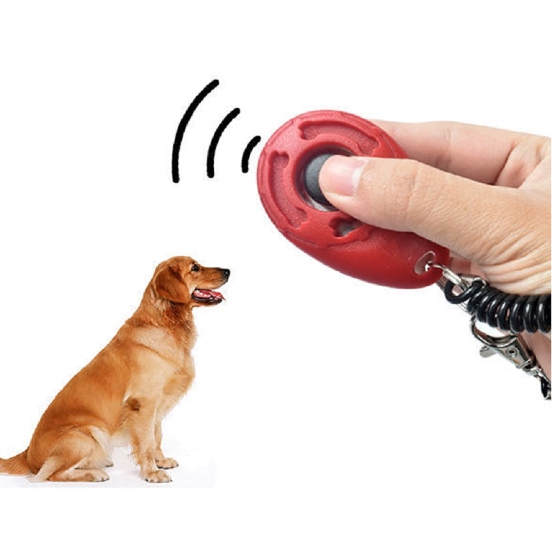Verstellbares Handgelenkband H – Training Clicker Dog Bewertung und Preis