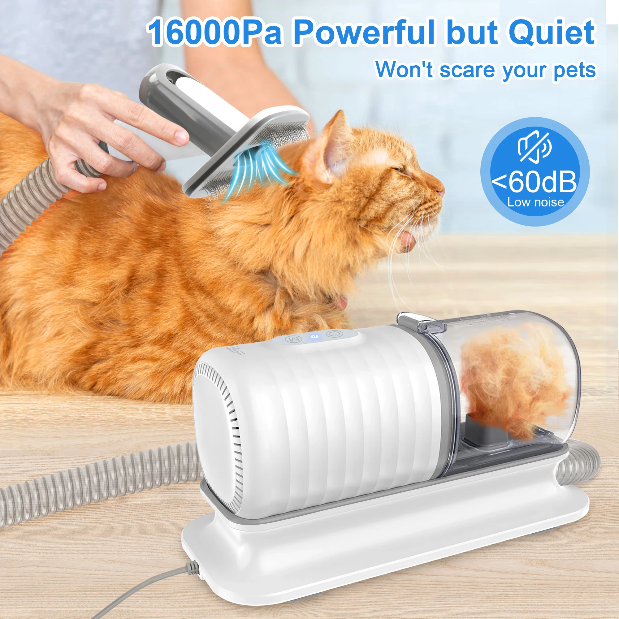 Hundebadebürsten-Set, Pflegear – Pet Supplies In Store Bewertung und Preis
