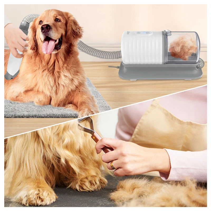 Hundebadebürsten-Set, Pflegear – Pet Supplies In Store Bewertung und Preis