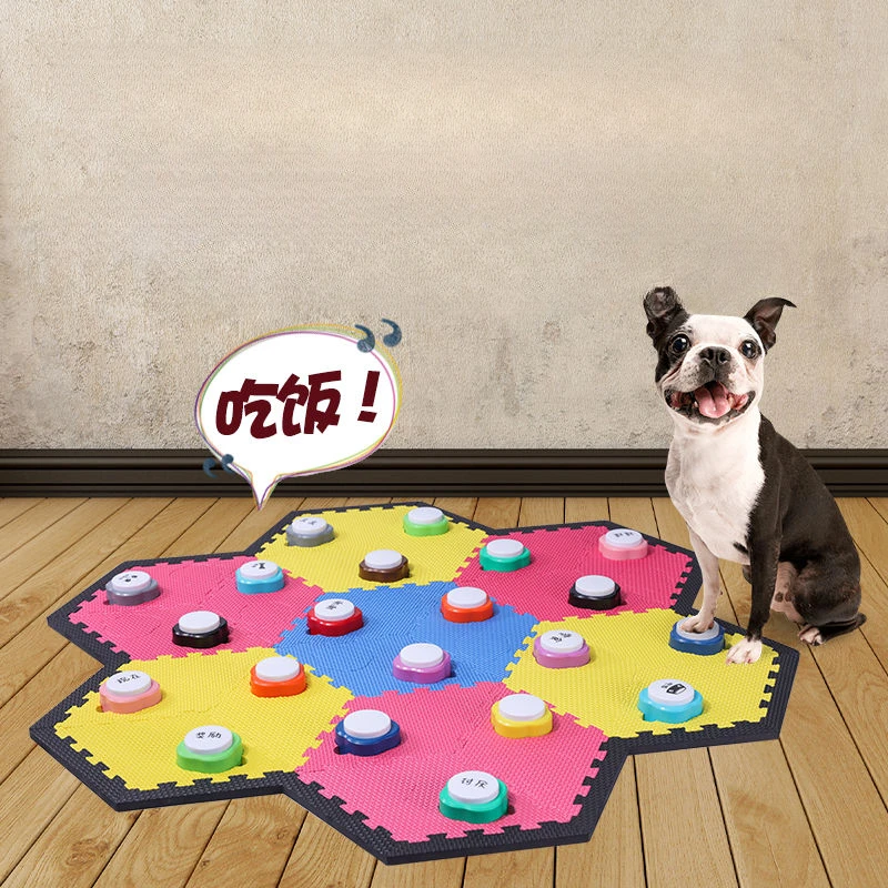 Mini-Haustier, beschreibbare K – Training Clicker Dog Bewertung und Preis