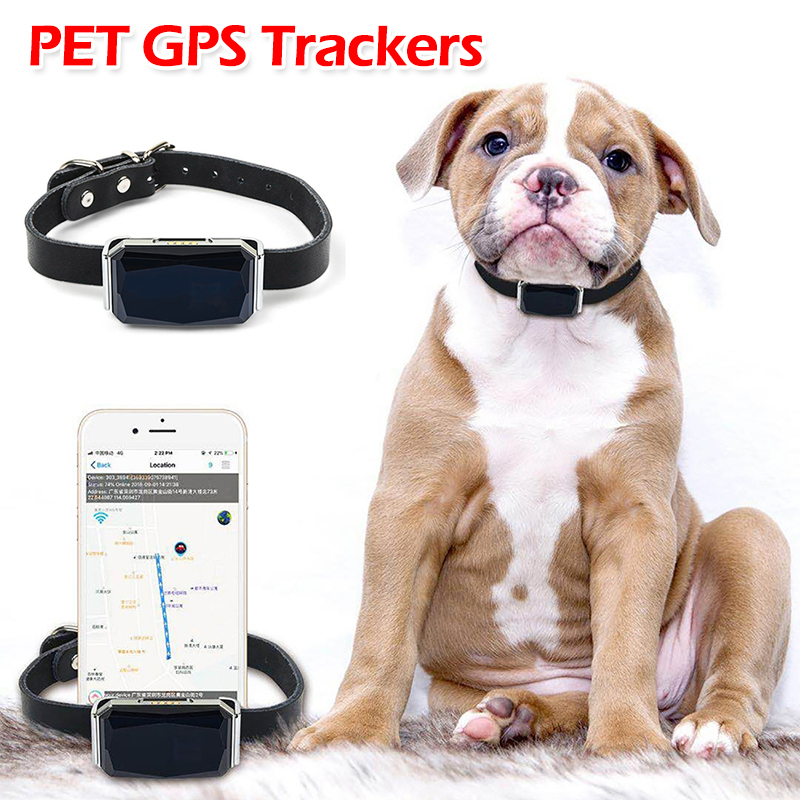 GPS-Tracker für Haustiere mit  – Pet Gps Tracker Collar Bewertung und Preis