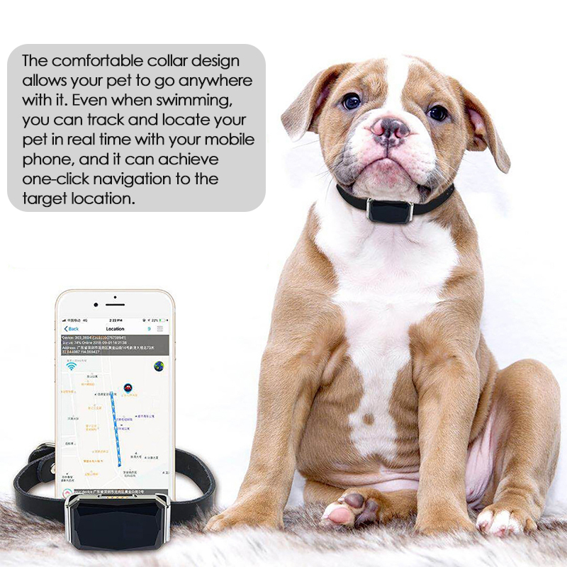 GPS-Tracker für Haustiere mit  – Pet Gps Tracker Collar Bewertung und Preis