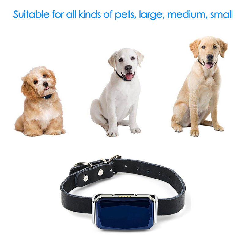 GPS-Tracker für Haustiere mit  – Pet Gps Tracker Collar Bewertung und Preis