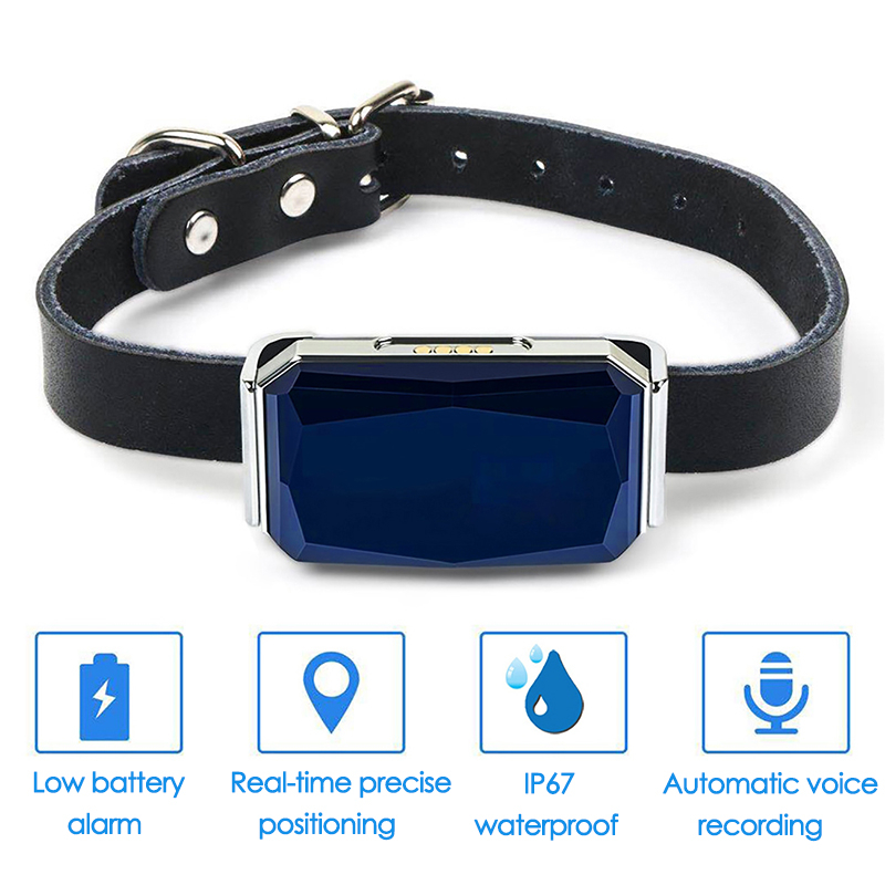 GPS-Tracker für Haustiere mit  – Pet Gps Tracker Collar Bewertung und Preis