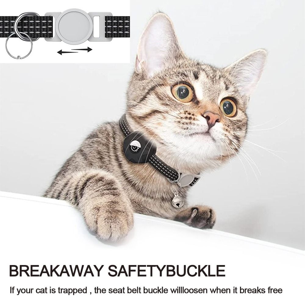 Haustier halsband mit GPS-Trac – Pet Gps Tracker Collar Bewertung und Preis