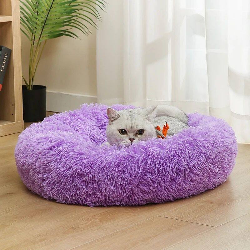 Party Baumwoll-Hundebett Flaus – Pet Supplies Australia Bewertung und Preis
